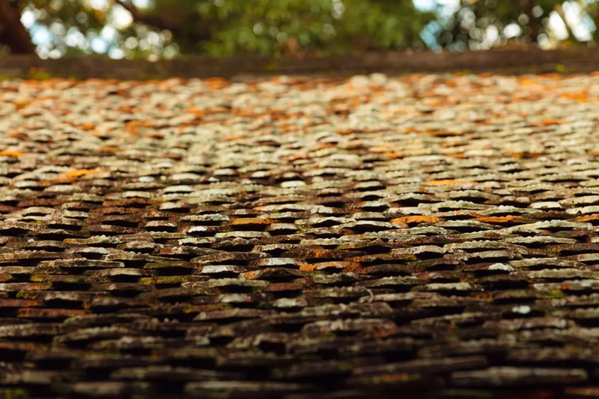 Roof Leak Repair in Elk Grove, CA